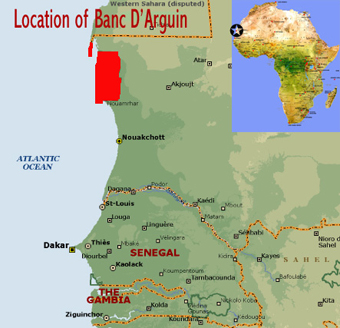 Banc dArguin - Mauritania | African World Heritage Sites