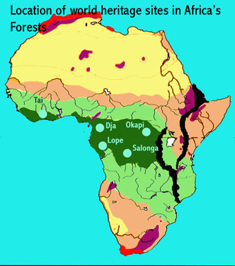 Forests African World Heritage Sites