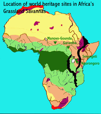 Get Map Of African Savannah Images - duniatrendnews