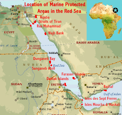 The Red Sea Egypt Sudan Eritrea Djibouti And Arab States