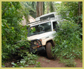 Road to Garamba National Park world heritage site, Congo