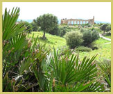 Vista a través del Sitio Arqueológico de Volubilis (sitio del patrimonio mundial de la UNESCO) una ciudad comercial en la frontera del Imperio Romano en Marruecos (norte de África)